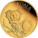 Gold Koala 5 oz PP - 2025 Front of the Gold Koala 5 oz PF - 2025