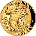 Front of the Gold Koala - special edition - 1 oz proof - Ultra High Relief 2025