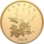 Front of the Gold Multifaceted Maple Leaf 1 oz PF - 2026