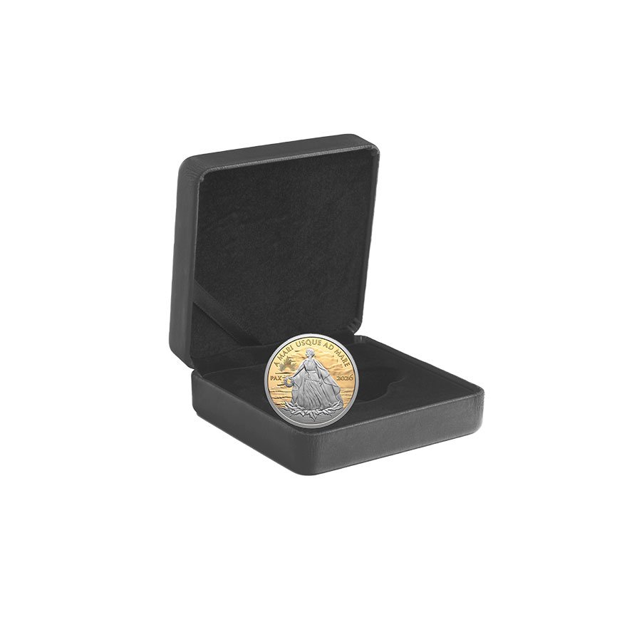 Gold Peace Dollar 1 oz Proof - 2026 in original coin case 