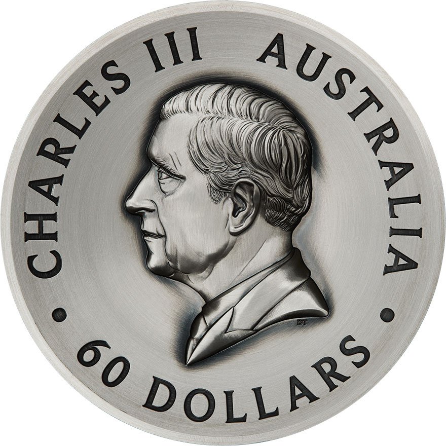 Back of Silver Butterfly 2000 g High Relief – Antique Finish 2025