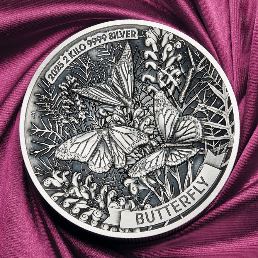mood shot of Silver Butterfly 2000 g High Relief – Antique Finish 2025