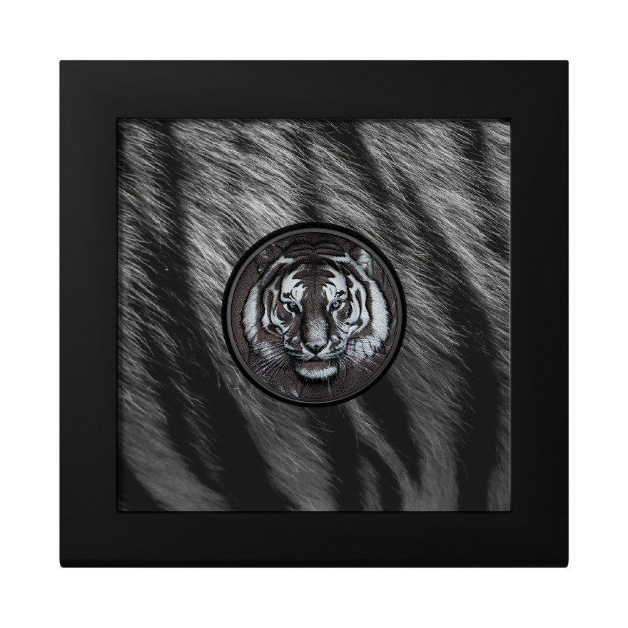 Coin Case of Silver Black and White Tiger 1 oz Proof - Ultra High Relief 2025