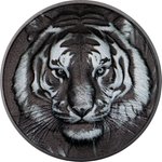 Silber Black and White Tiger 1 oz PP - Ultra High Relief 2025 Front of Silver Black and White Tiger 1 oz Proof - Ultra High Relief 2025