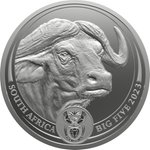 Front of the Silver Buffalo 5 oz - Big Five Series II - 2023