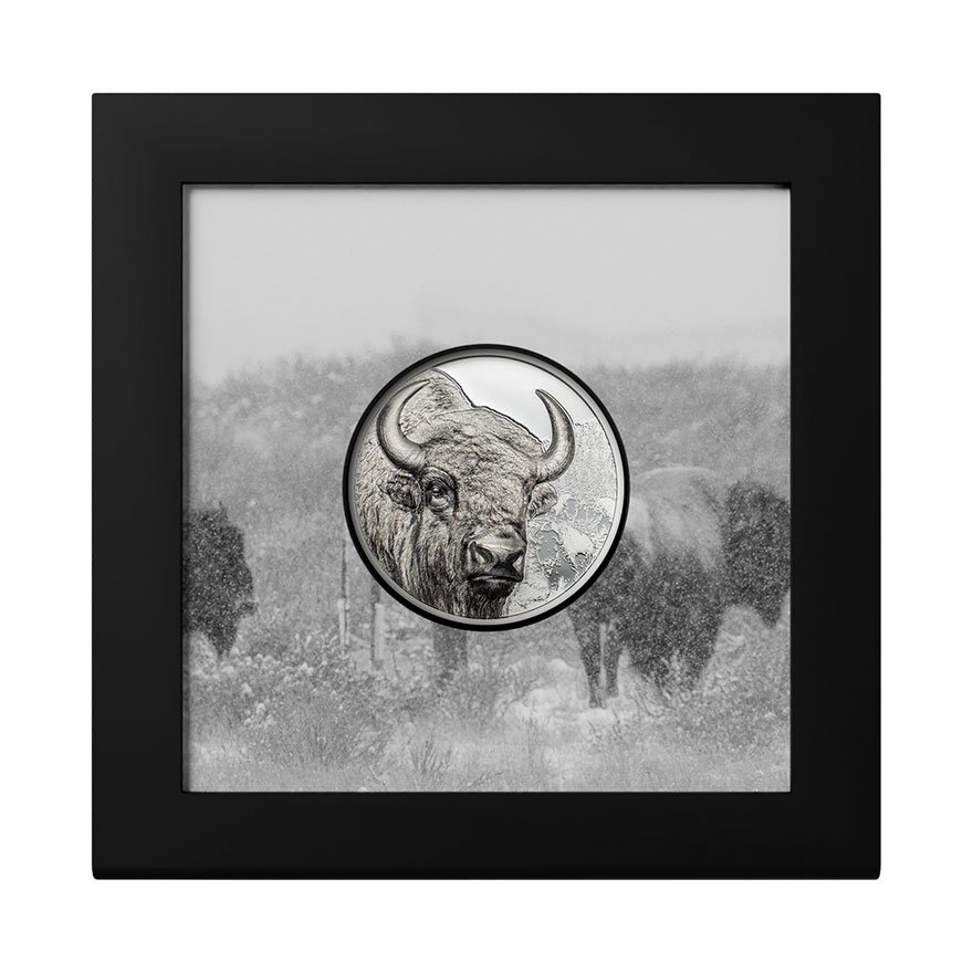 View 4: Silber Bison 1 oz PP - High Relief 2025