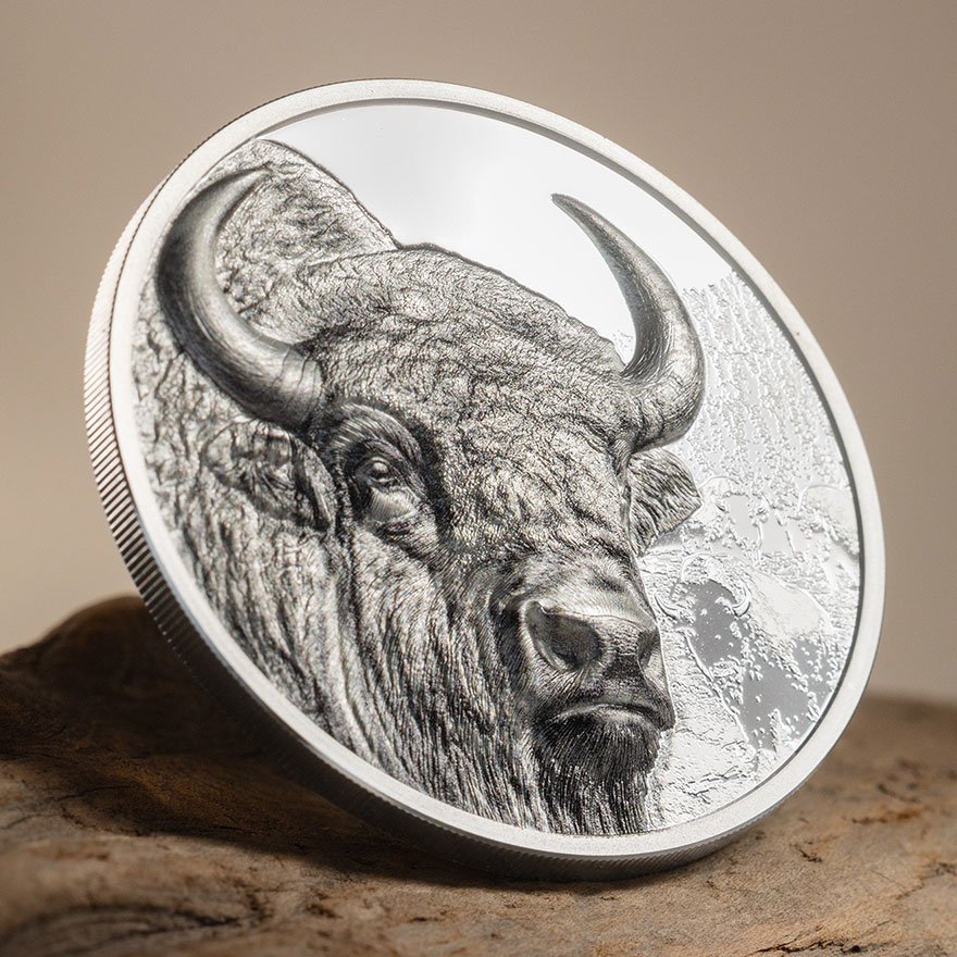 View 3: Silber Bison 1 oz PP - High Relief 2025