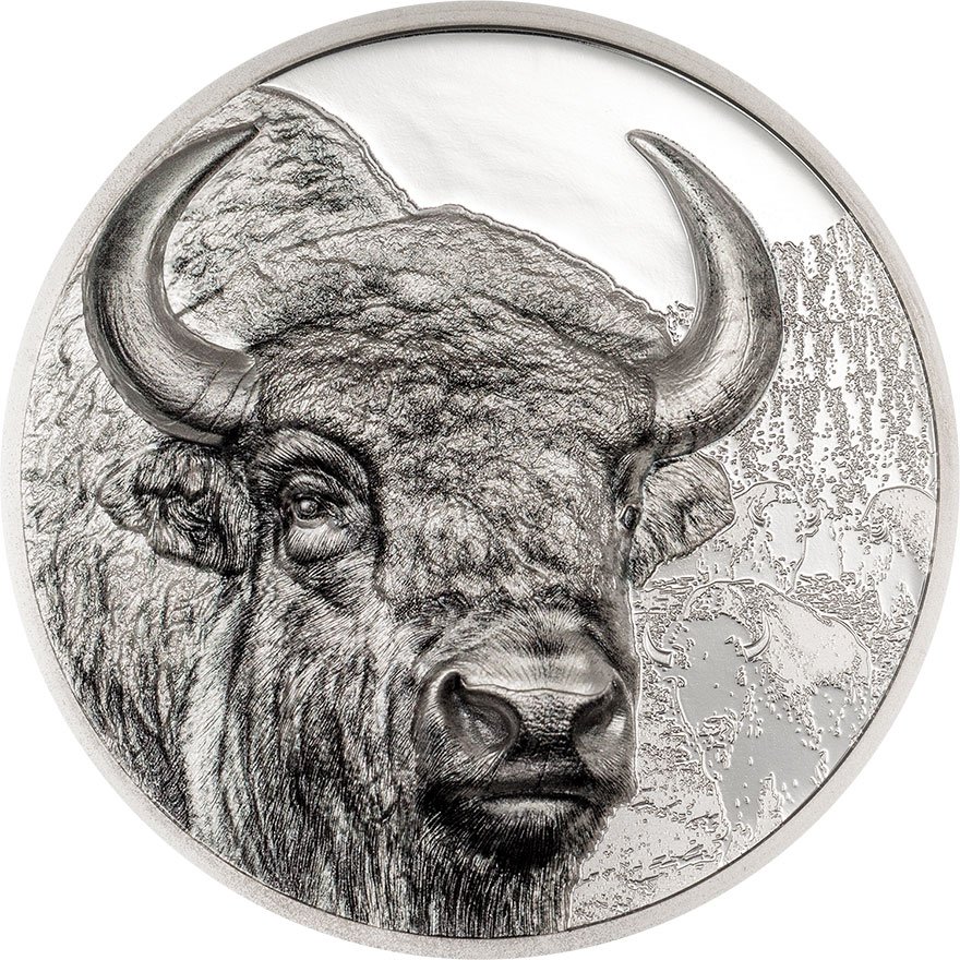 View 1: Silber Bison 3 oz PP - High Relief 2025