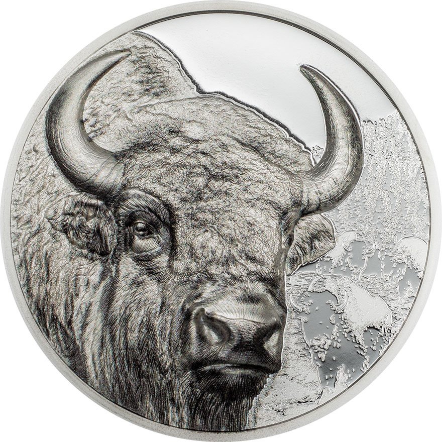 View 1: Silber Bison 1 oz PP - High Relief 2025