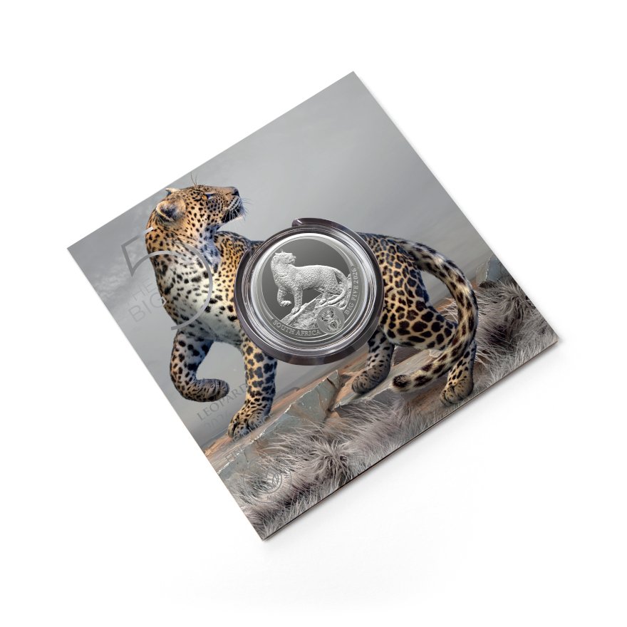 Silver Leopard in Blister - 2026