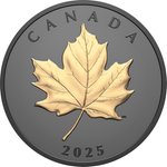Front of the Silver Elegant Maple Leaf 1 oz - Matte Proof gilded 2025