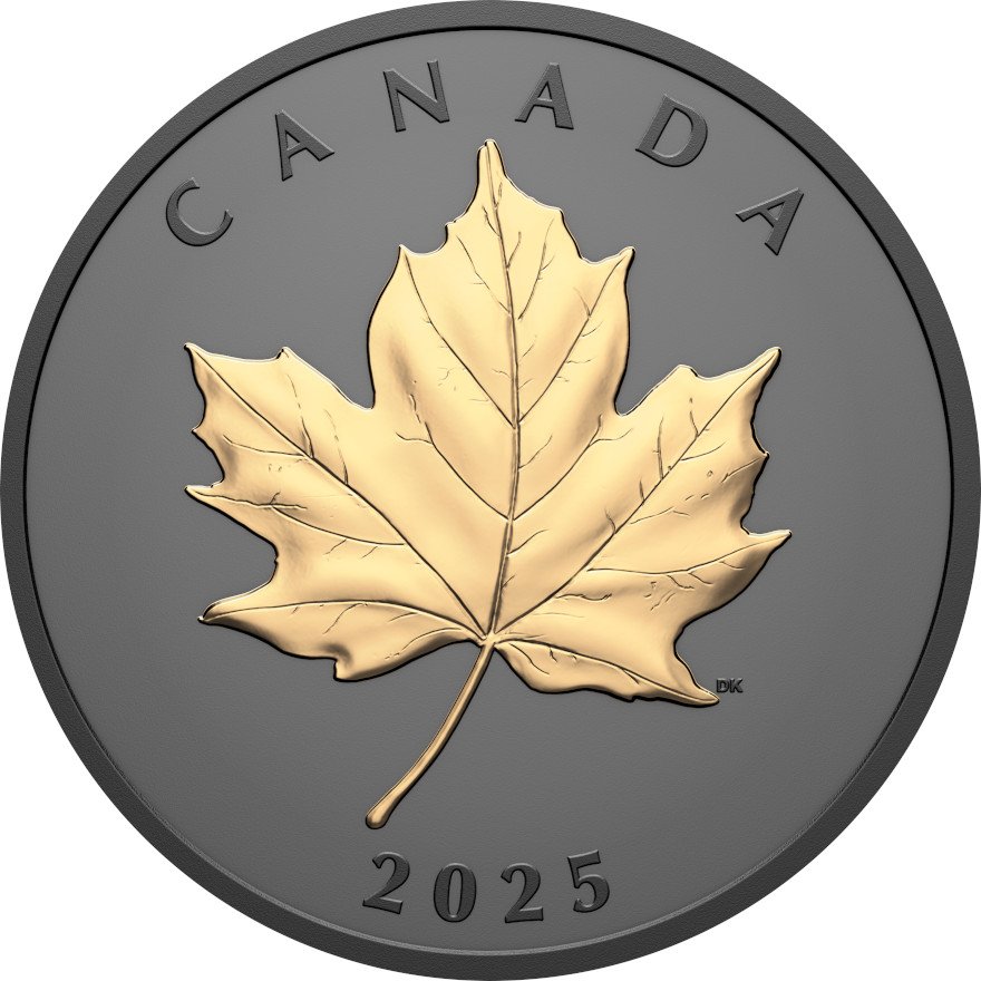 Front of the Silver Elegant Maple Leaf 1 oz - Matte Proof gilded 2025