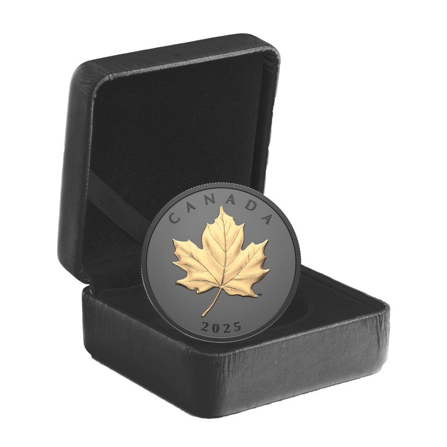 Silver Elegant Maple Leaf 1 oz - Matte Proof gilded 2025 in the original coin case