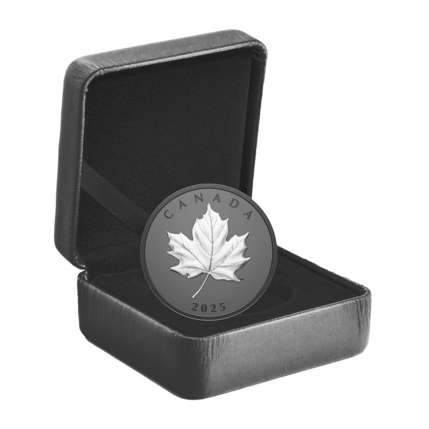 View 4: Silber Elegant Maple Leaf 1 oz - Matte Proof 2025