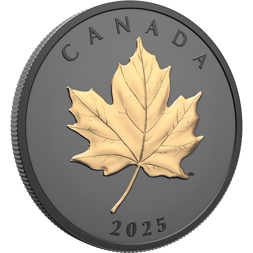 Side view of the Silver Elegant Maple Leaf 1 oz - Matte Proof gilded 2025