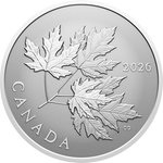 Front of Silver Gleaming Maple Leaf 1/2 oz RP - 2026