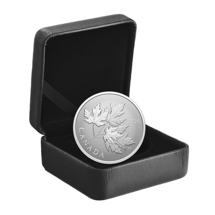 Coin Case of Silver Gleaming Maple Leaf 1/2 oz RP - 2026