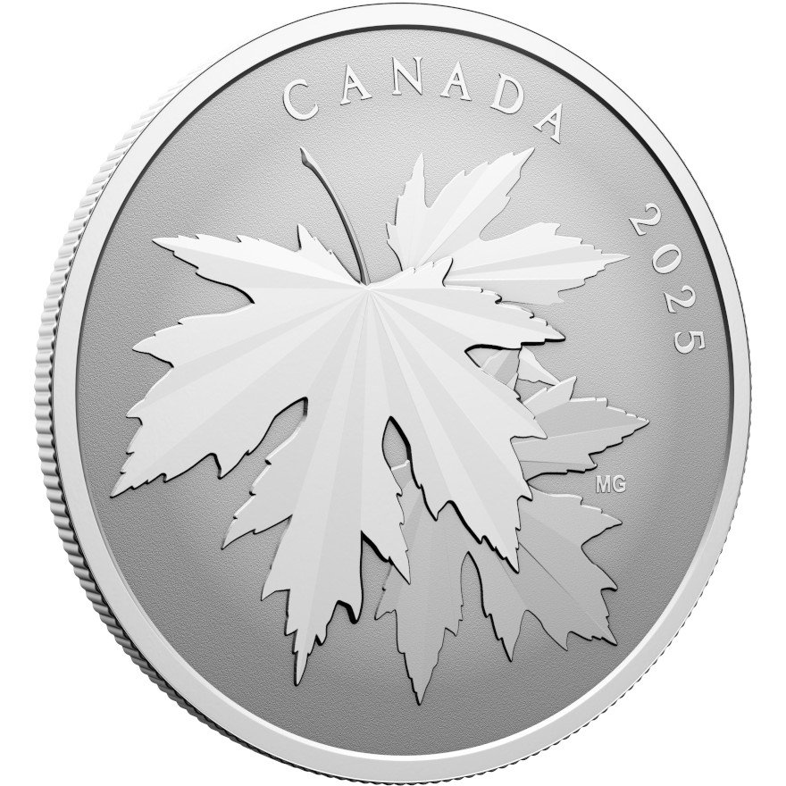 View 2: Silber Gleaming Maple Leaf 1/2 oz RP - 2025