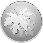 Silber Gleaming Maple Leaf 1/2 oz RP - 2025