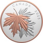 Silber Gleaming Maple Leaf 10 oz PP - 2025