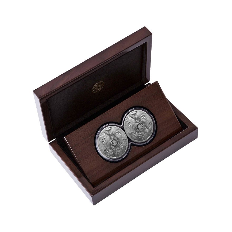 Silber Löwe Big Five Serie III - 2 x 1 oz PP-Set Doppelkapsel