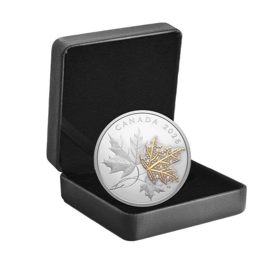Coin Case of Silver Precious Maple Leaf 2 oz PF - gilded with diamond 2026