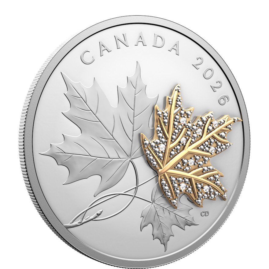 Side view of Silver Precious Maple Leaf 2 oz PF - gilded with diamond 2026