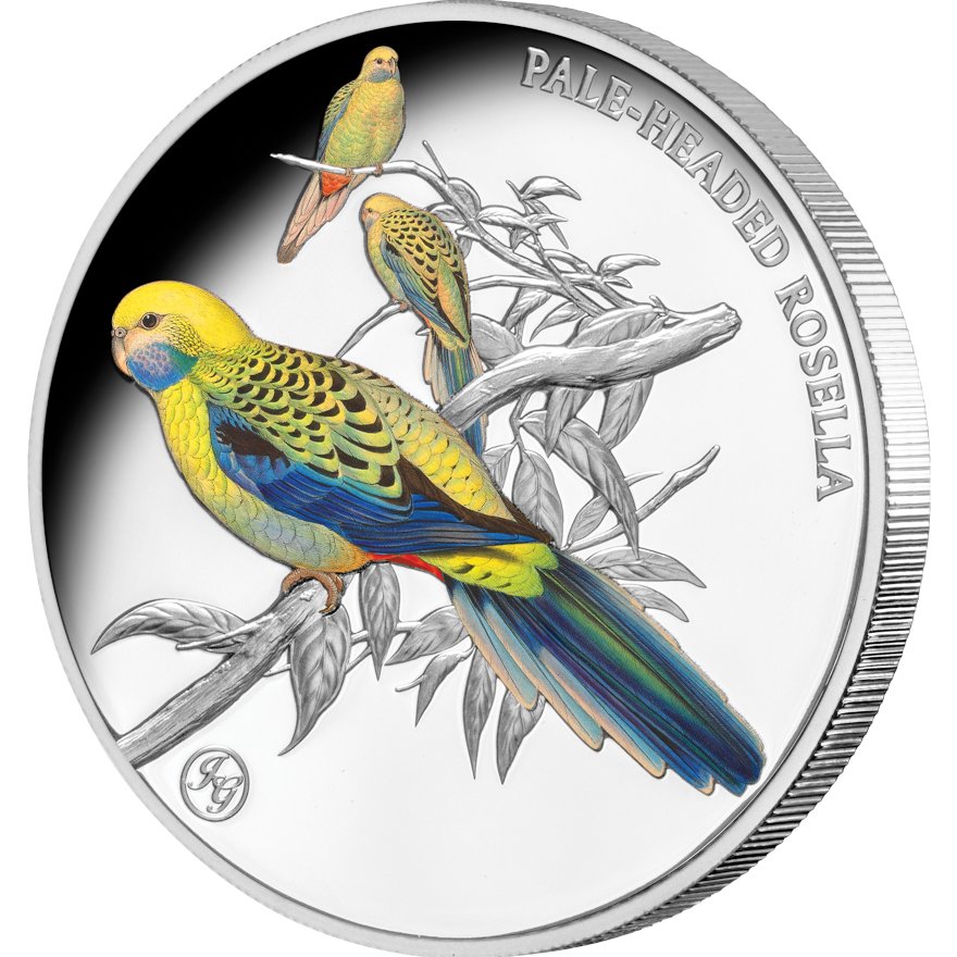Side view of Pale-Headed Rosella 1 oz Proof