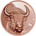 Front of the Copper Bison 50 g PP - High Relief 2025