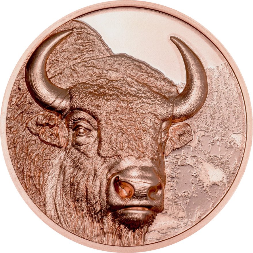 Front of the Copper Bison 50 g PP - High Relief 2025