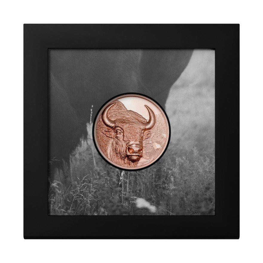 Original coin case of the Copper Bison 50 g PP - High Relief 2025