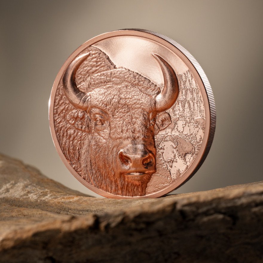 Side view of the Copper Bison 50 g PP - High Relief 2025