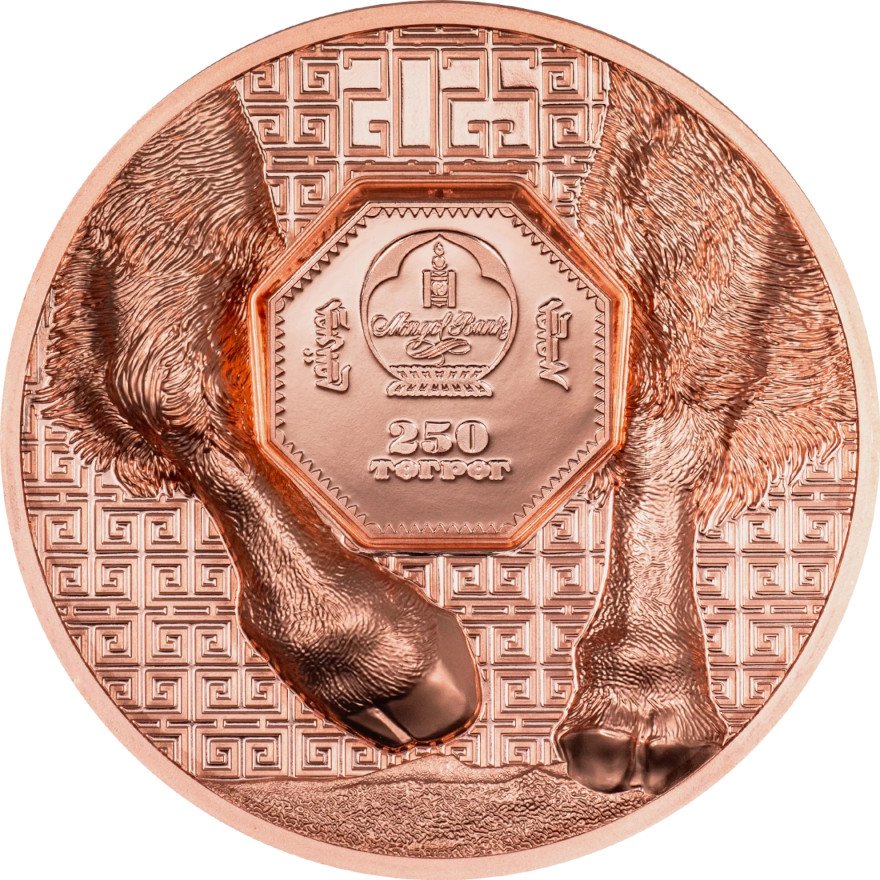 Back of the Copper Bison 50 g PP - High Relief 2025