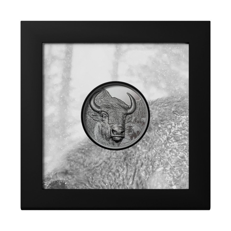 Original coin case of the Silver Bison 2 oz Black Proof - High Relief 2025