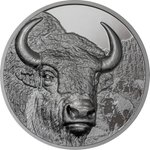 Front of the Silver Bison 2 oz Black Proof - High Relief 2025