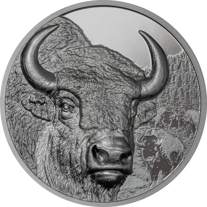 Front of the Silver Bison 2 oz Black Proof - High Relief 2025