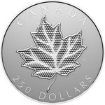 Back of the Silver Pulsating Maple Leaf 1000 g RP - 2024