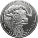 Silber Büffel 1000 g - Big Five Serie II - 2023