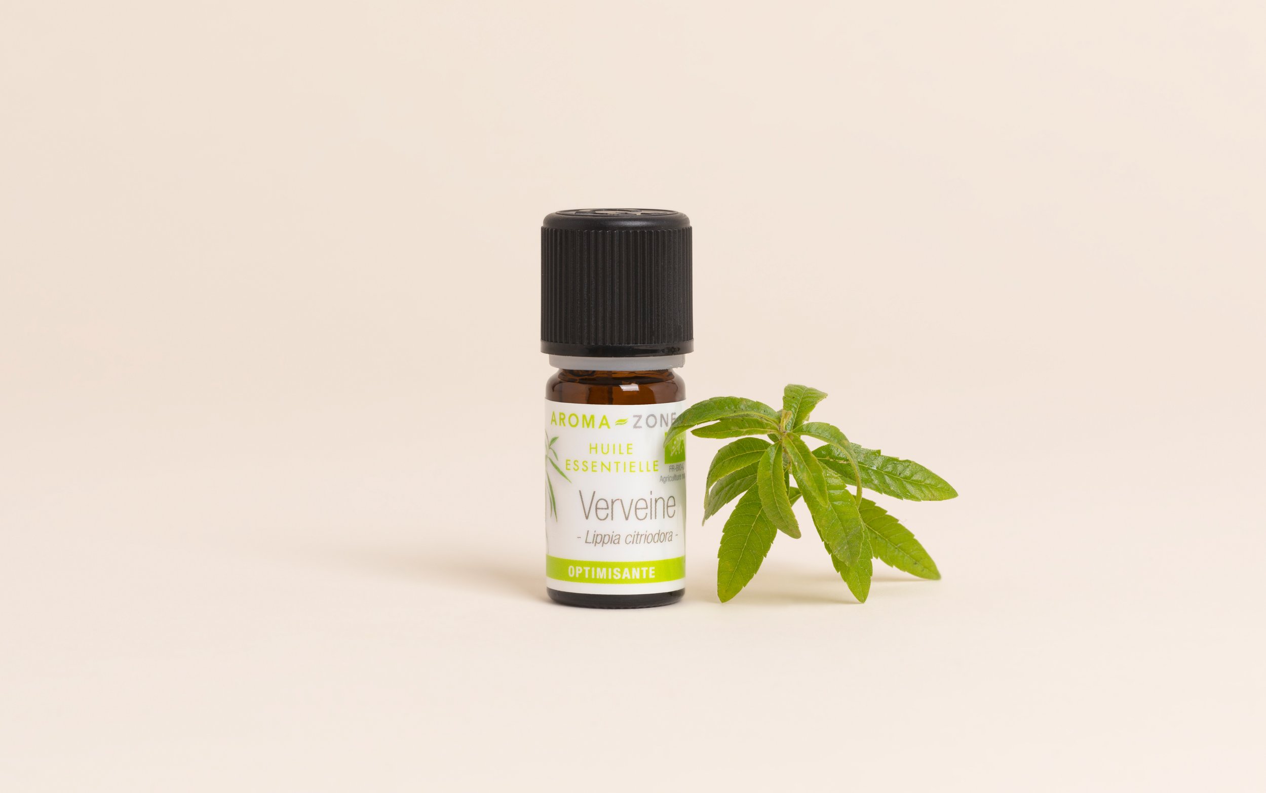 Lemon verbena Essential Oil: properties and uses - Aroma-Zone