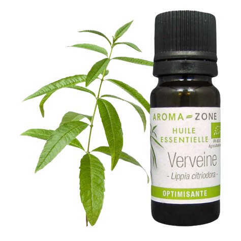 Lemon Verbena Essential Oil - Benefits & Uses - Aroma-Zone