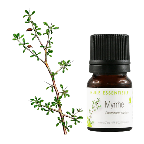 Bulletin Huile essentielle de Myrrhe - Aroma-Zone