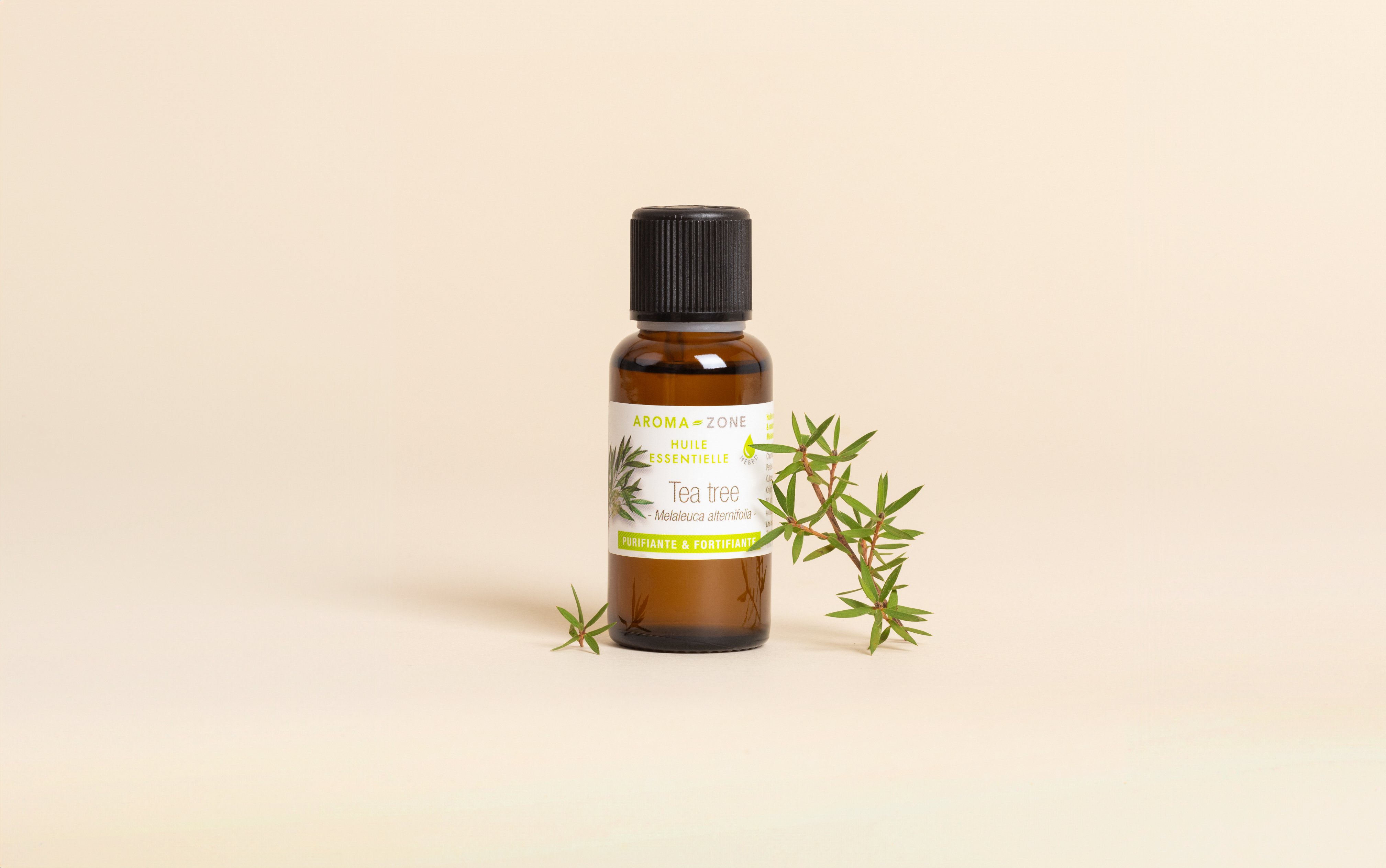 Arbre à Thé / Tea Tree : l'huile essentielle belle peau