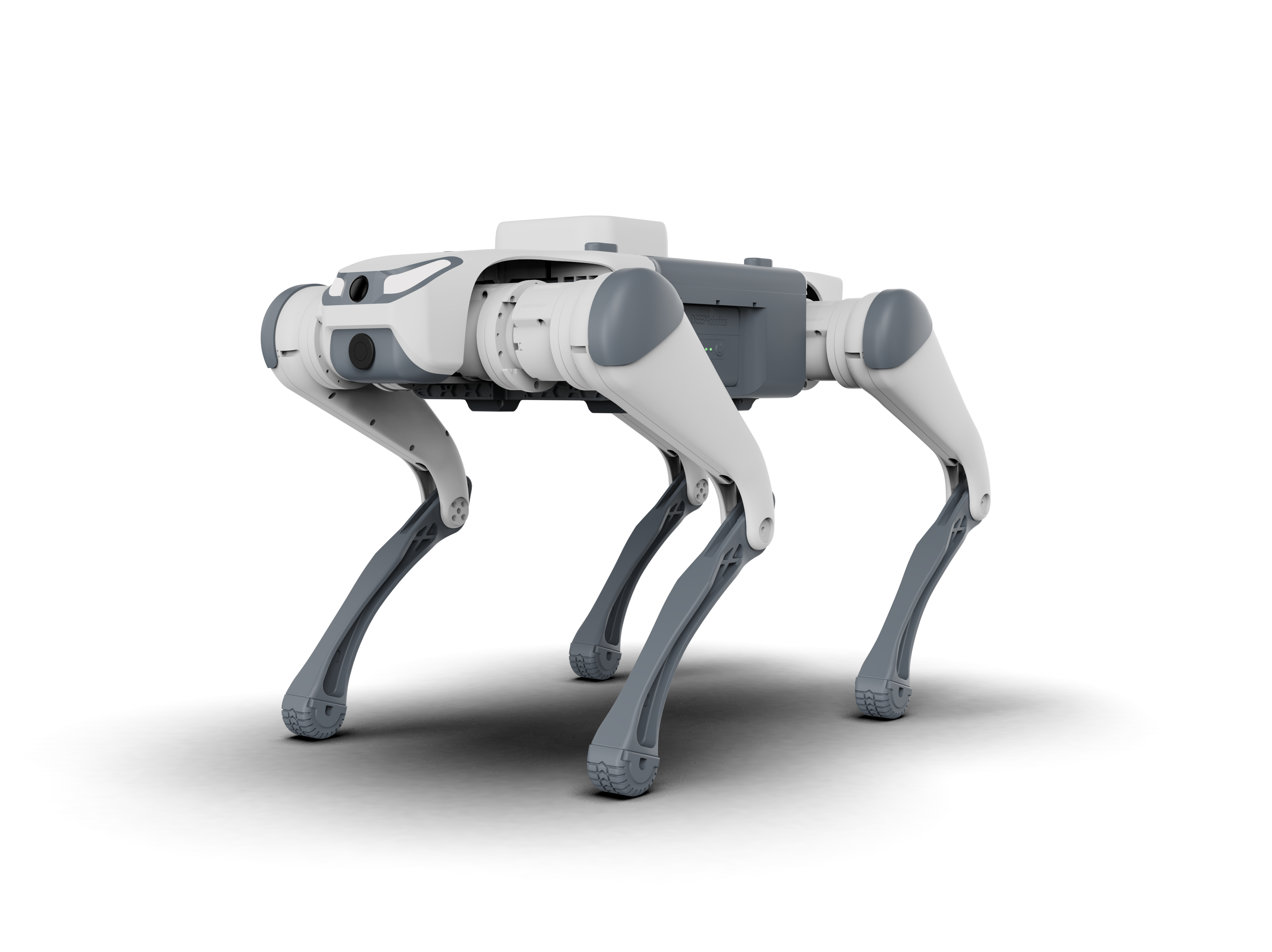 Quadruped robot