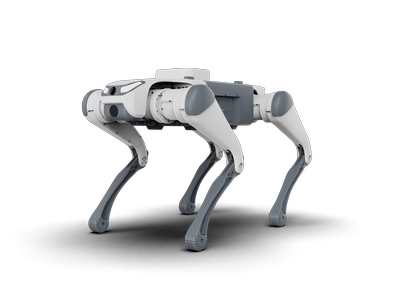 Quadruped robot SID1/Lite3 | 12 dof