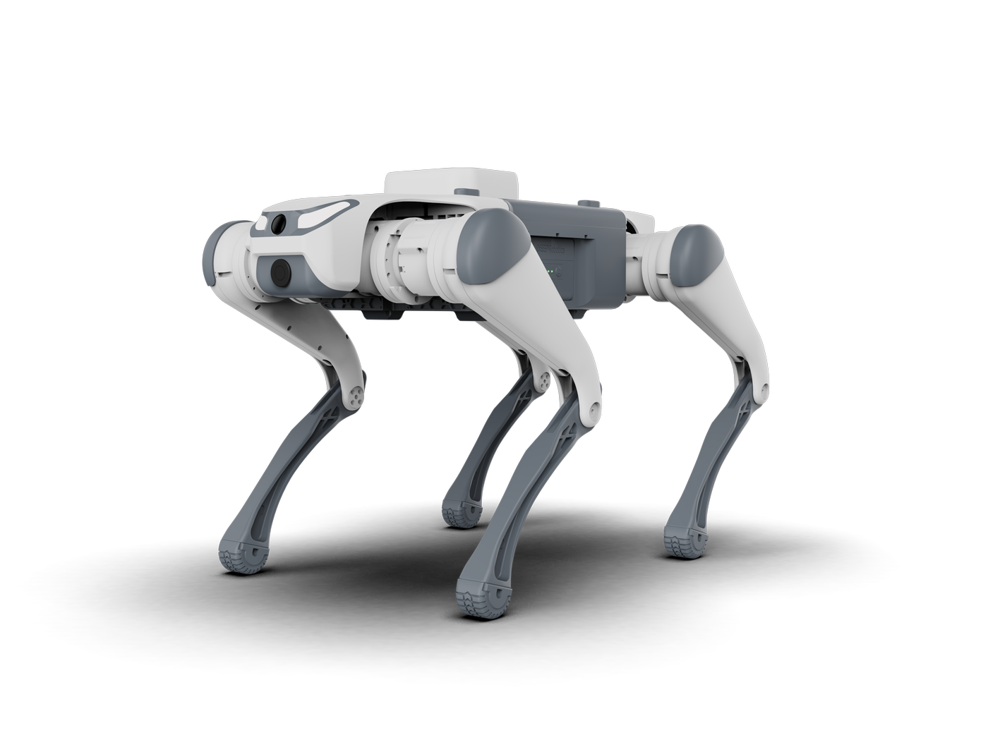 Quadruped robot SID1/Lite3 | 12 dof