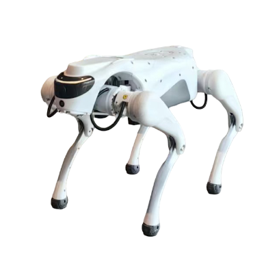 CYBERSTARS - Quadruped robot CYBER 1