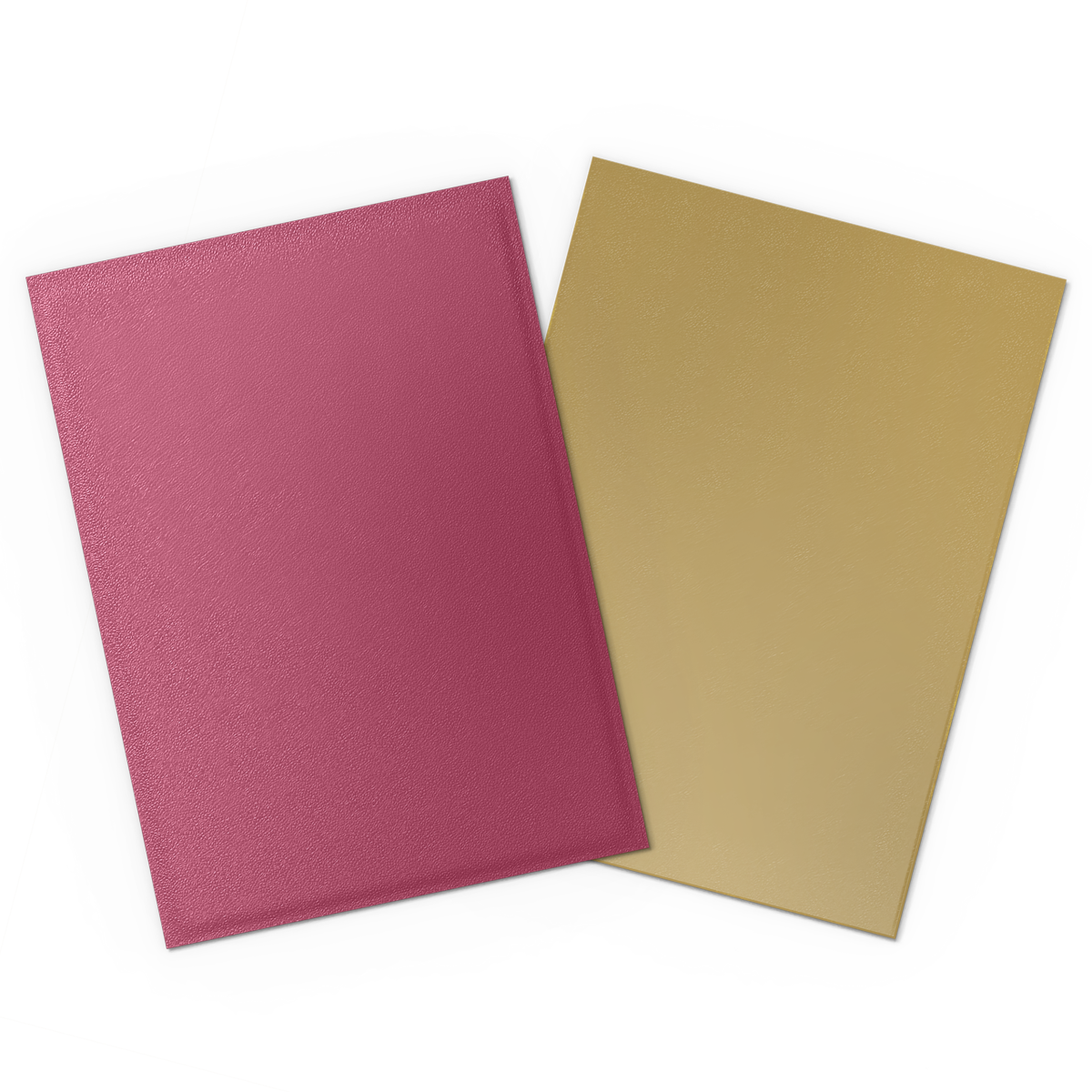 25th Special Edition - Matte Dual Sleeves - Red/Gold