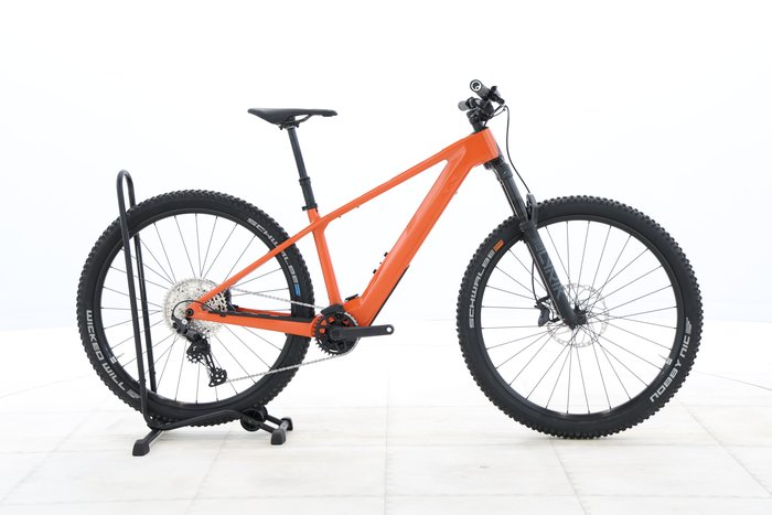 Rose BONERO PLUS 1 2024
