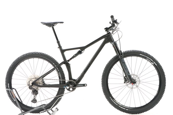 Rose THRILL HILL 2 2023