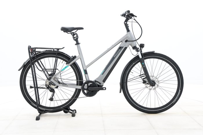 Pegasus EVO CX 2023